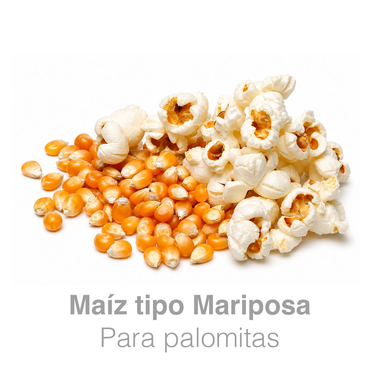 Maíz Palomero Tipo Mariposa Preferred Popcorn – Bulto 20 kg