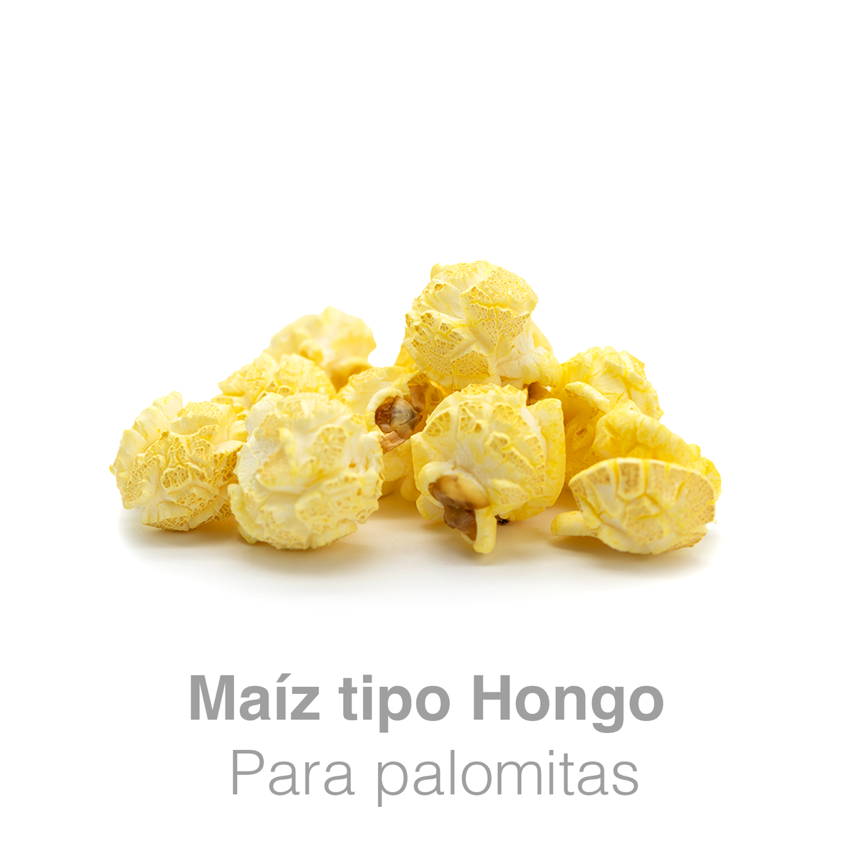 Maíz Palomero Mushroom Jumbo Preferred Popcorn – Bulto 20 kg