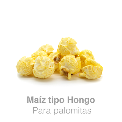 Maíz Palomero Mushroom Jumbo Preferred Popcorn – Bulto 20 kg